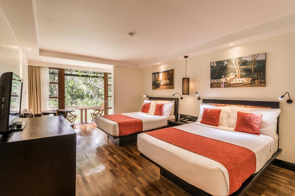 Double Room with Ocean View
